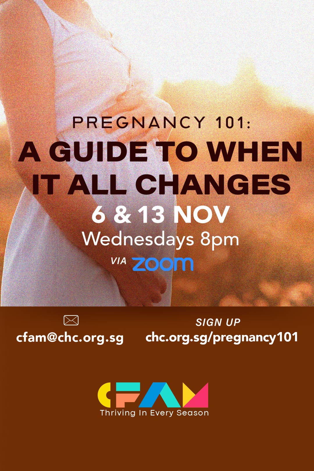 12. Pregnancy